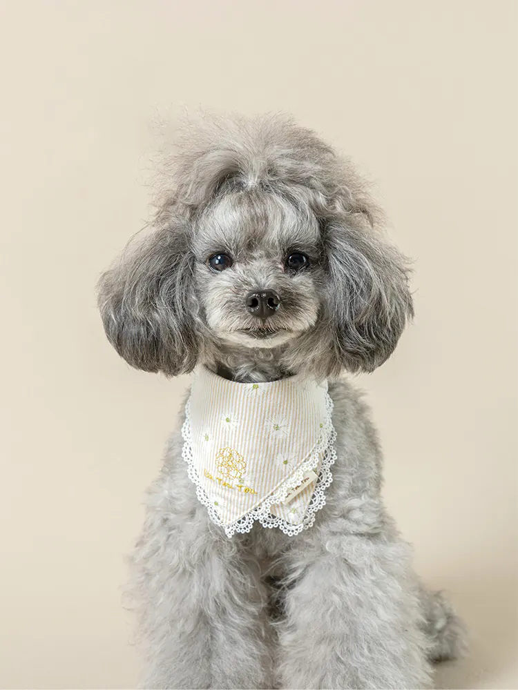 Pet Bow Tie · UT252026 product view 4
