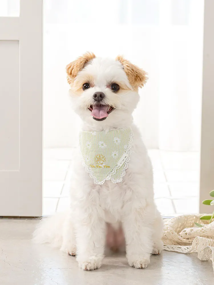 Pet Bow Tie · UT252026 product view 5