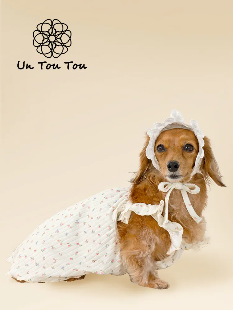 Pet Hat · UT252027 product view 3