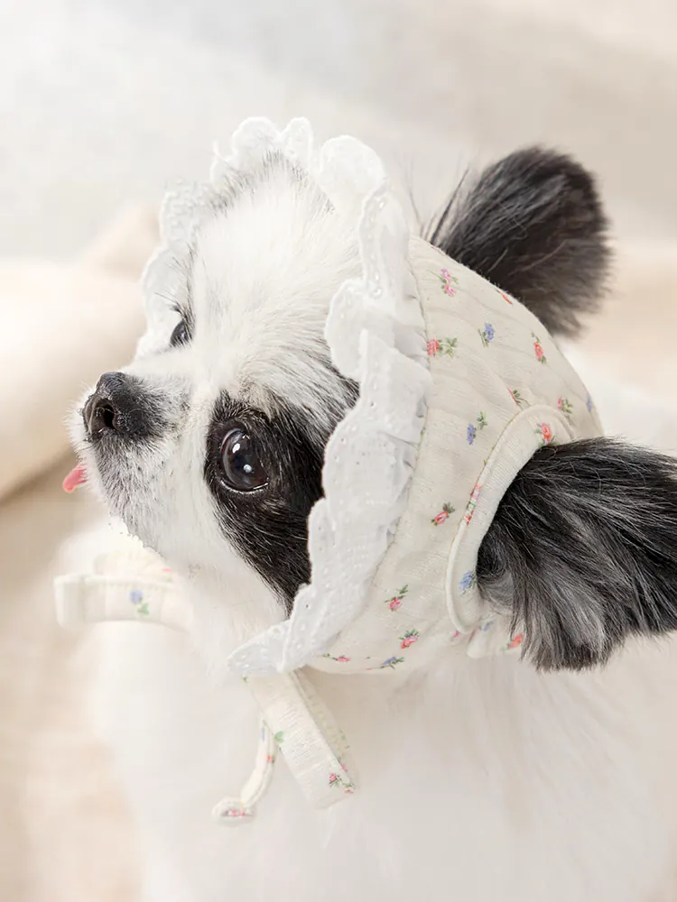 Pet Hat · UT252027 product view 4