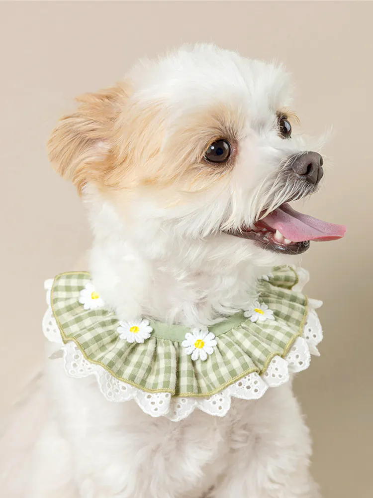 Pet Accessory · UT252028 product view 4