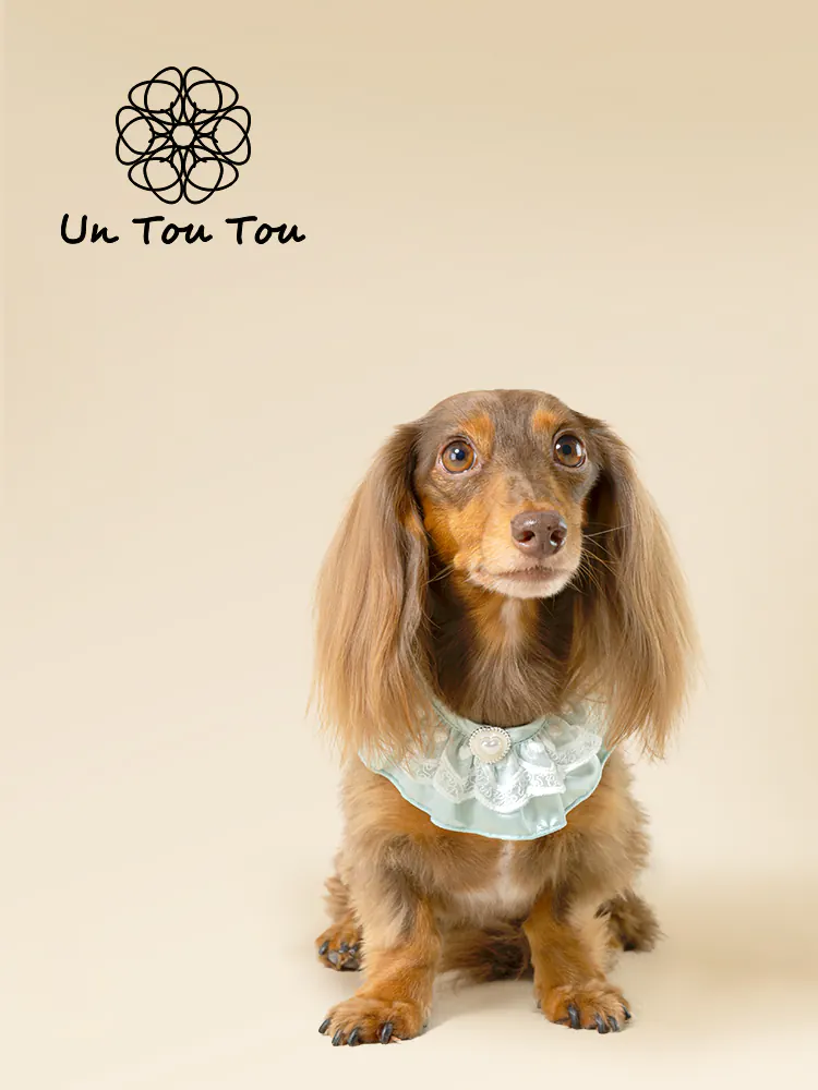 Pet Accessory · UT252029 product view 3
