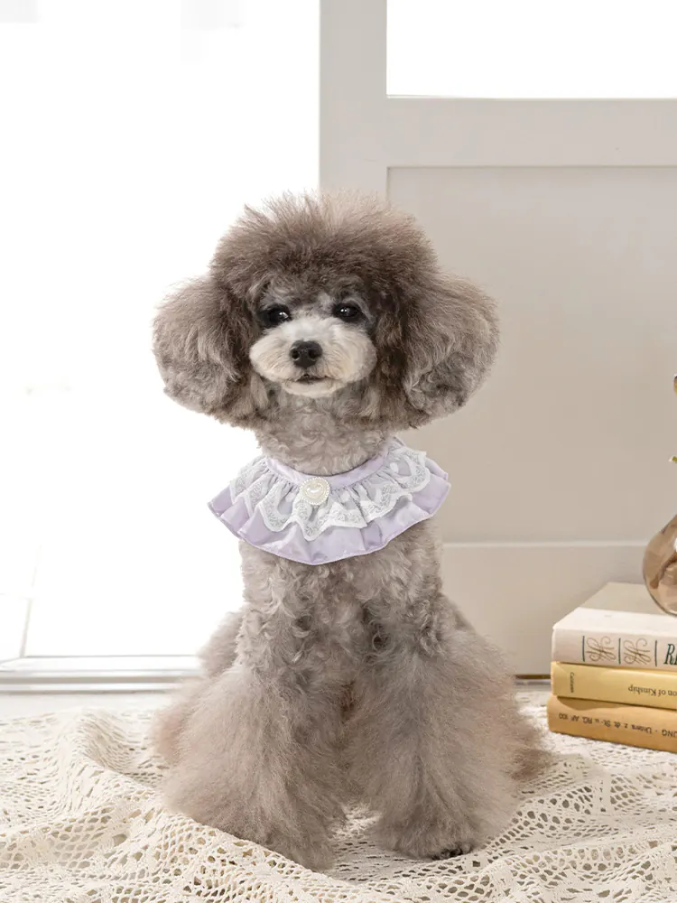 Pet Accessory · UT252029 product view 4