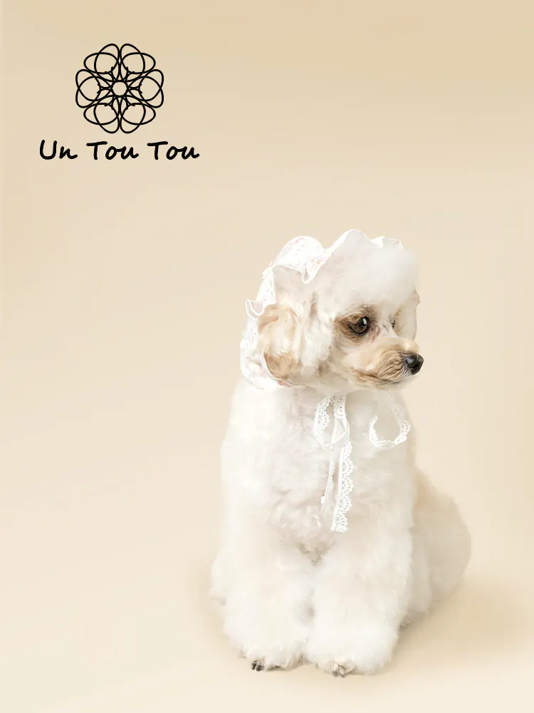 Pet Hat · UT252030 product view