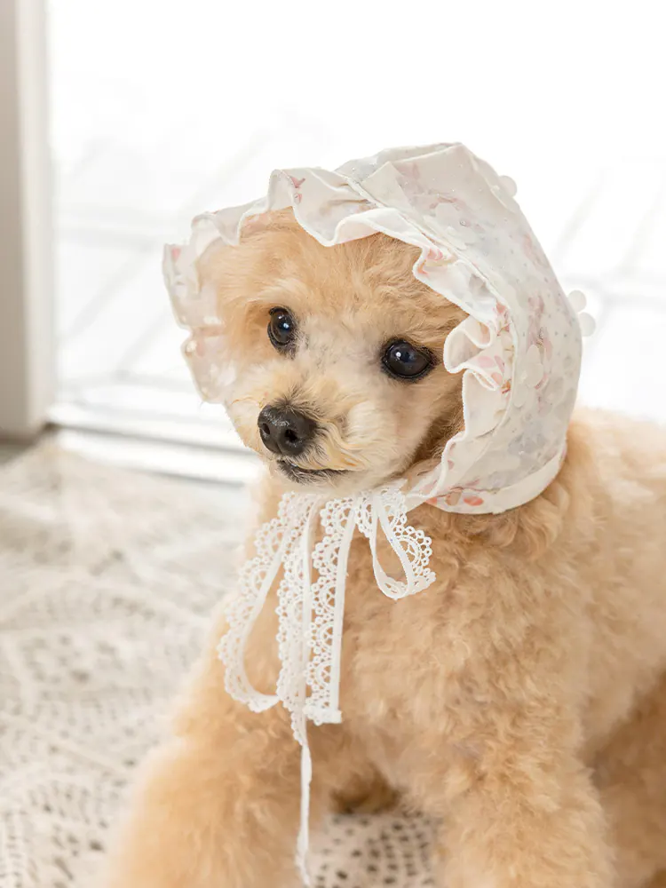 Pet Hat · UT252030 product view 2