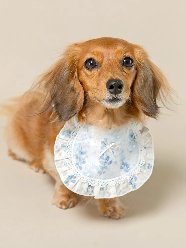 Pet Accessory · UT252031 product view 3