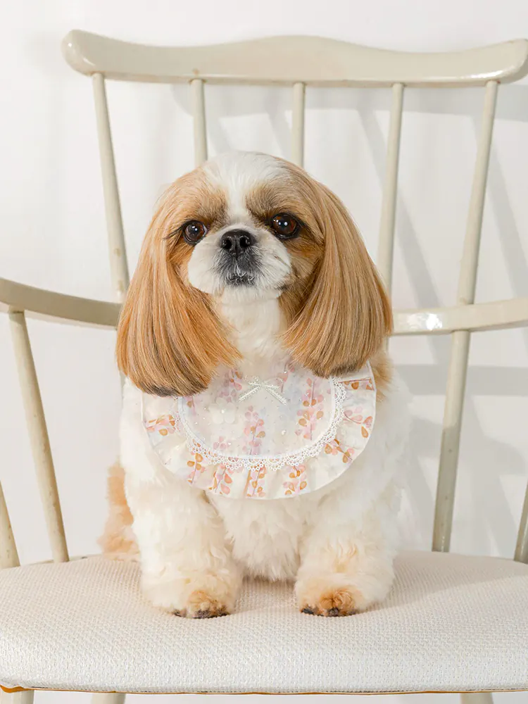 Pet Accessory · UT252031 product view 4