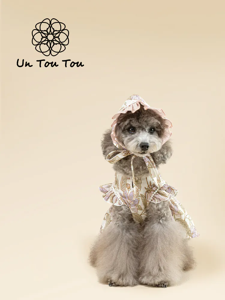 Pet Hat · UT252032 product view 3