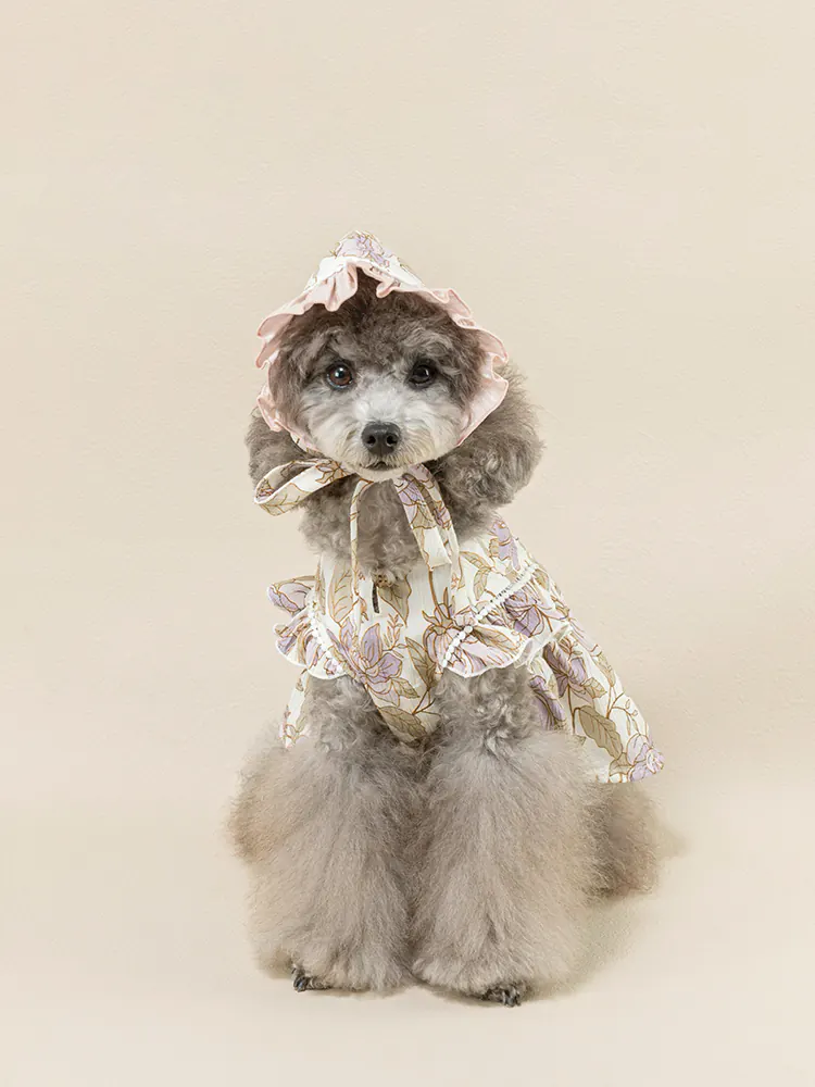 Pet Hat · UT252032 product view 4