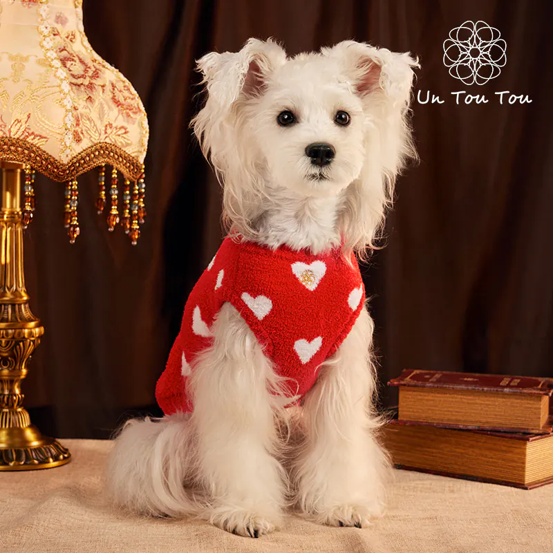 Knit Heart Pet Sweater · UT2534A0081 product view 2