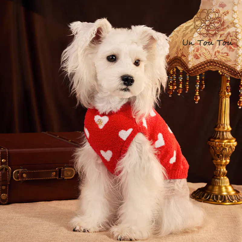 Knit Heart Pet Sweater · UT2534A0081 product view 4