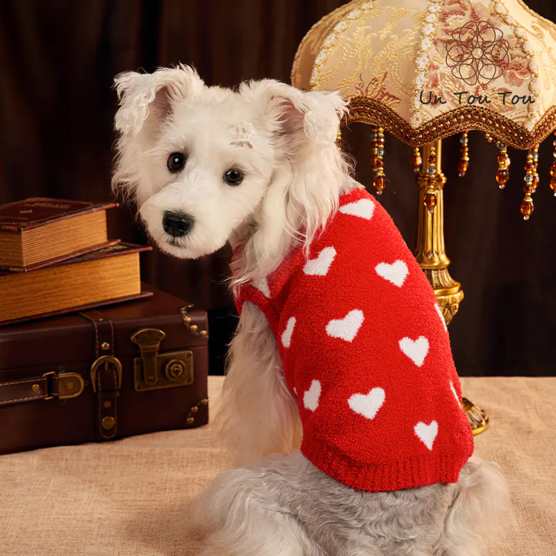 Knit Heart Pet Sweater · UT2534A0081 product view 5