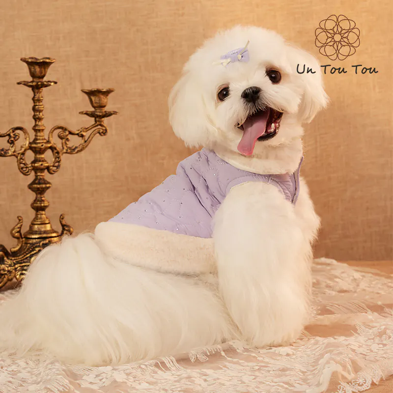 Pet Apparel · UT2534A075 product view 4