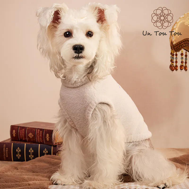 Bear Pet Sweater · UT2534A079 product view 3