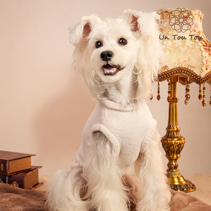 Bear Pet Sweater · UT2534A079 product view 4