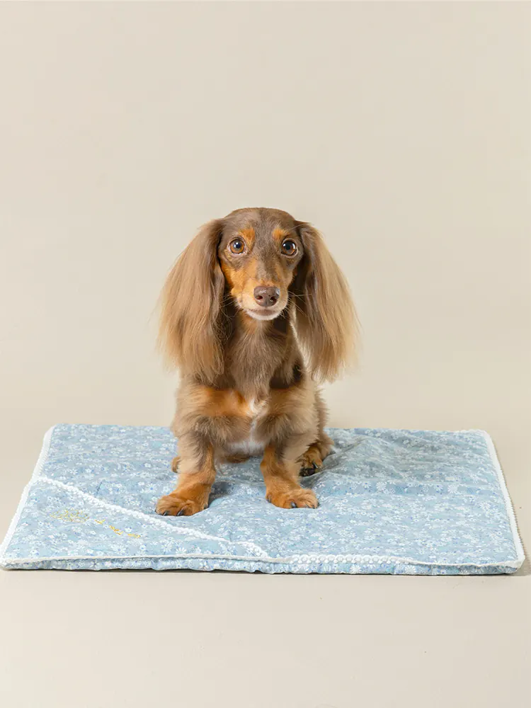 Pet Mat · UT257035 product view 4