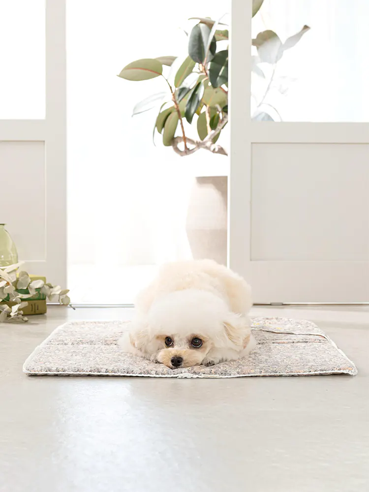 Pet Mat · UT257035 product view 5