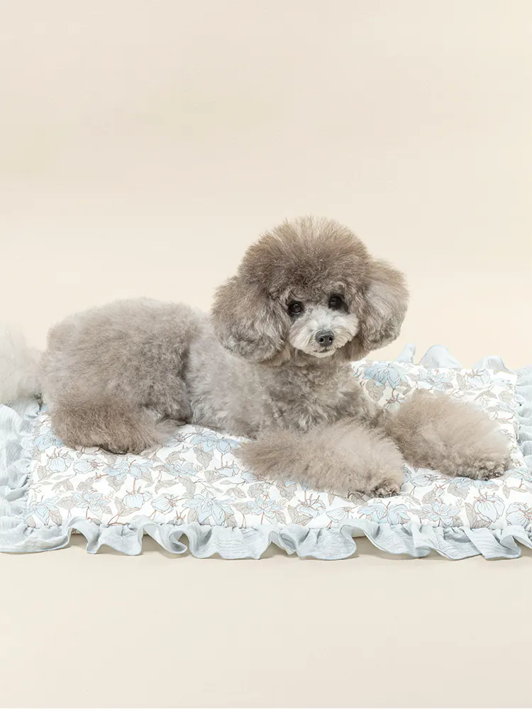 Pet Mat · UT257036 product view 4