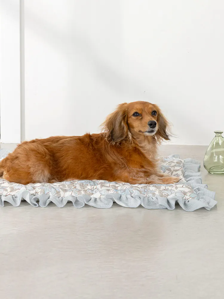 Pet Mat · UT257036 product view 5