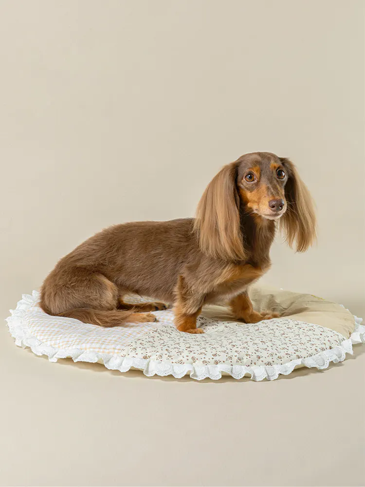 Pet Mat · UT257037 product view 4