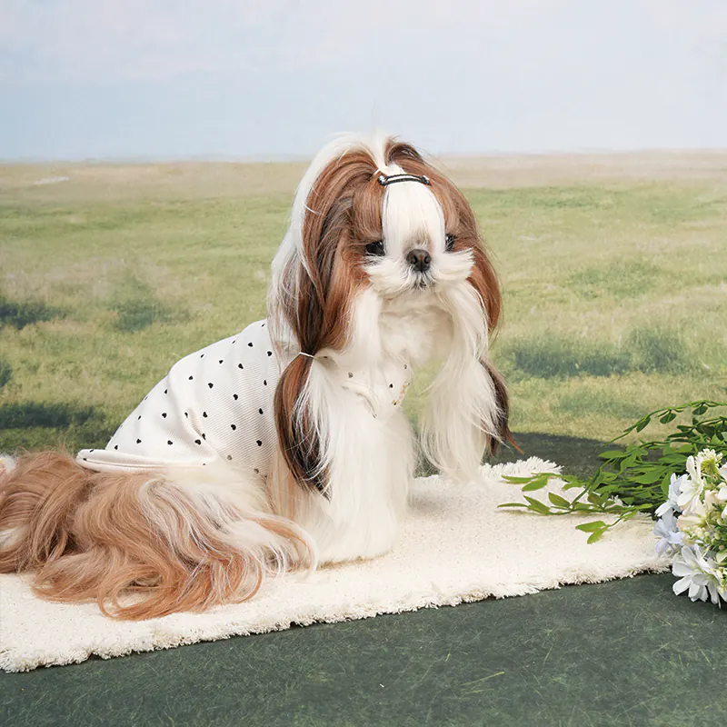 Polka Dot Pet Vest · UT261115 product view 3