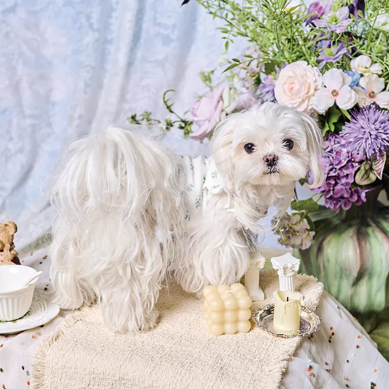 Ditsy Floral Ruffle Pet Vest · UT261116 product view