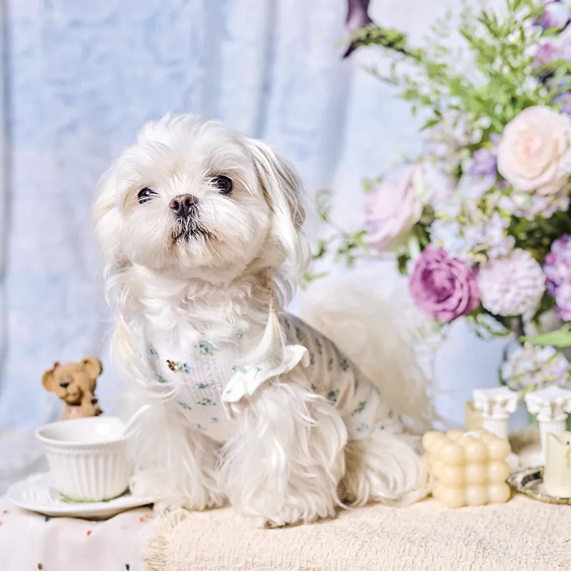 Ditsy Floral Ruffle Pet Vest · UT261116 product view 2