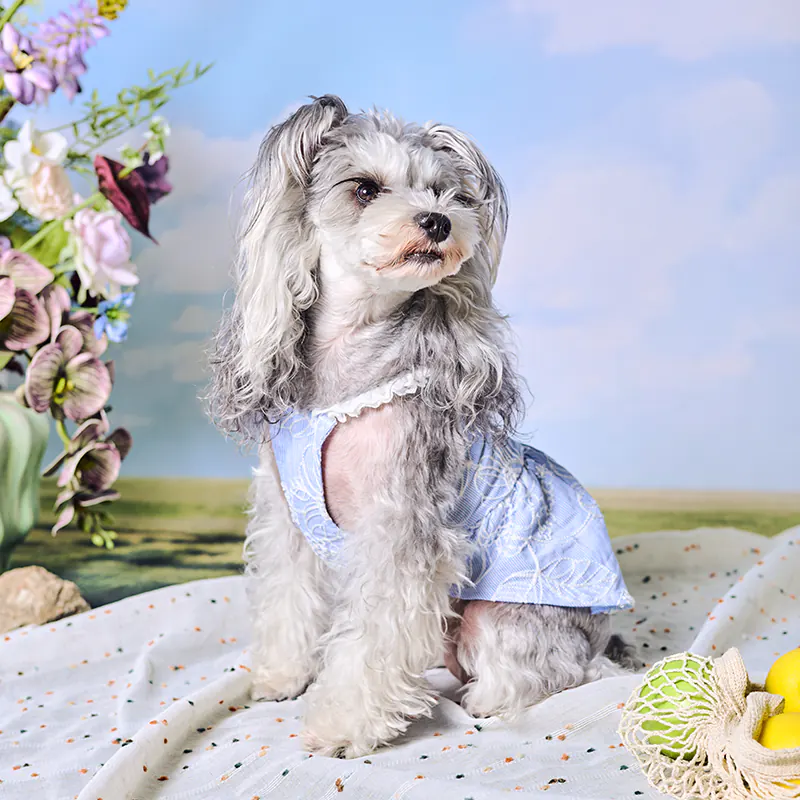 Floral Embroidered Pet Dress · UT261122 product view 2