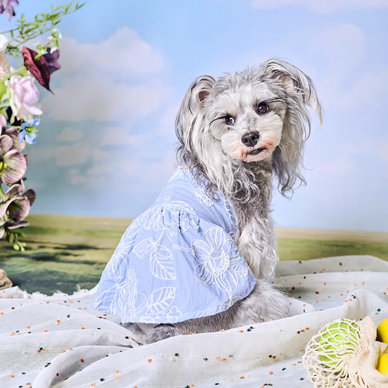 Floral Embroidered Pet Dress · UT261122 product view 3