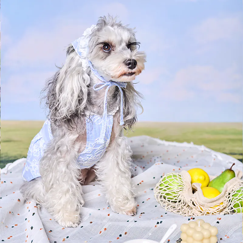 Floral Embroidered Pet Dress · UT261122 product view 4