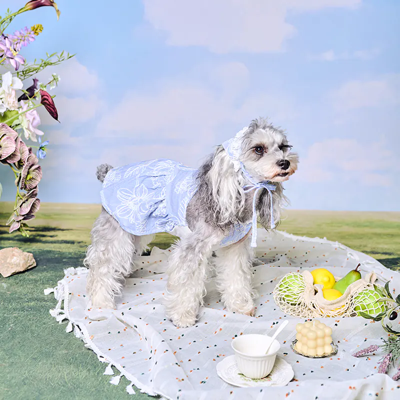 Floral Embroidered Pet Dress · UT261122 product view 5