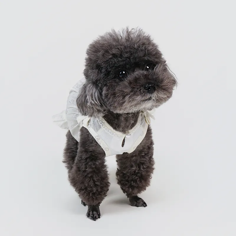 Lace Pet Dress · UT261123 product view