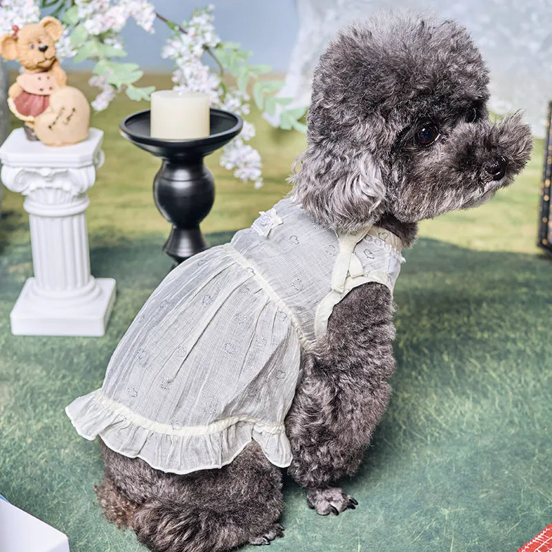 Lace Pet Dress · UT261123 product view 3