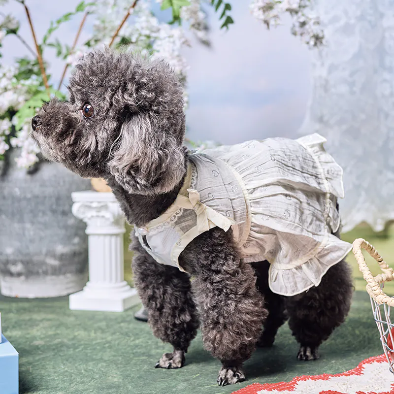 Lace Pet Dress · UT261123 product view 4