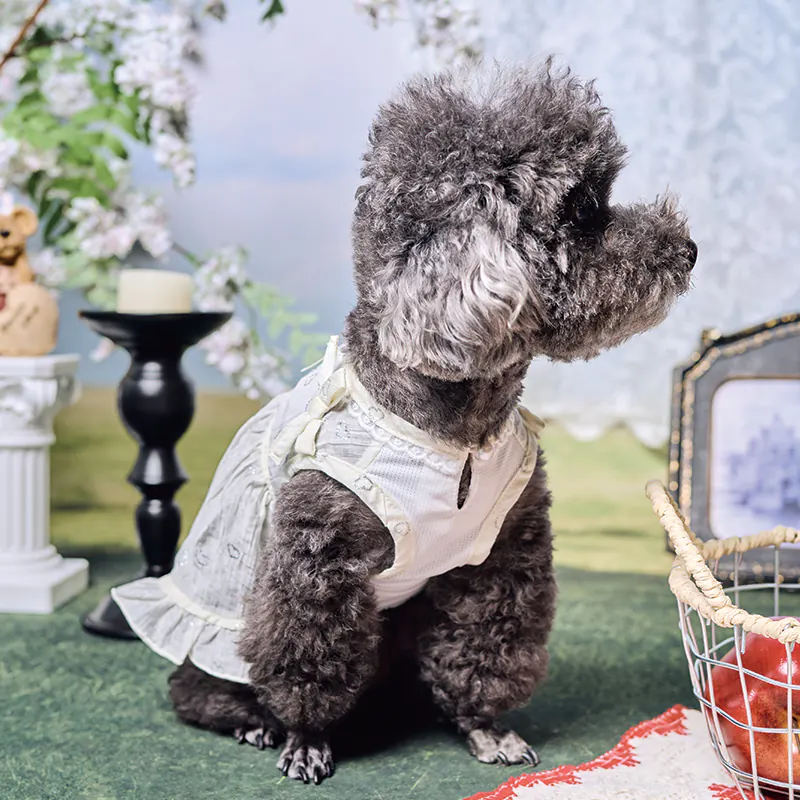Lace Pet Dress · UT261123 product view 5