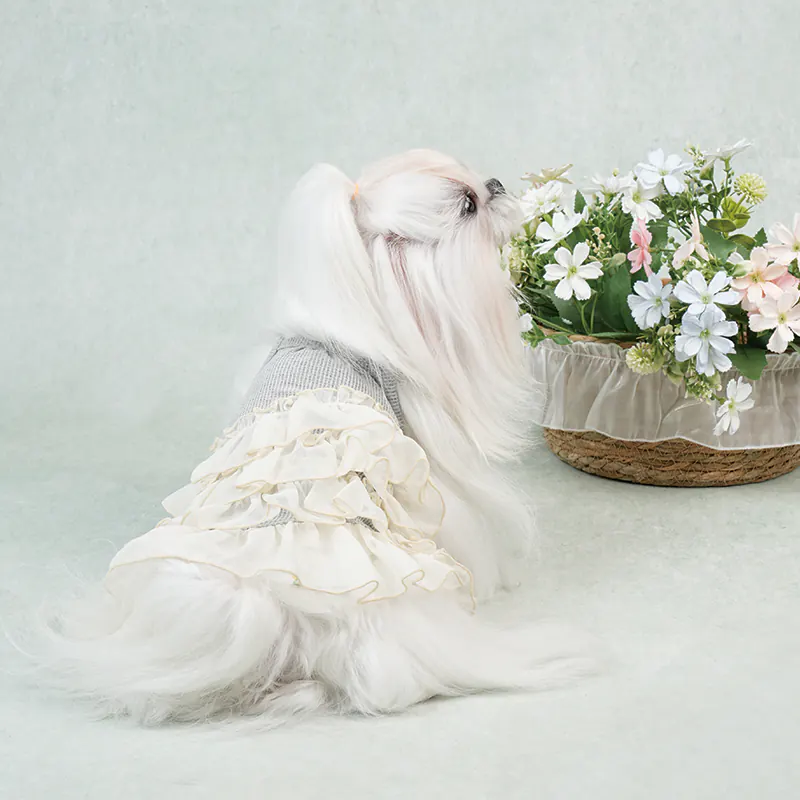 Ruffle Pet Dress · UT261126 product view 3