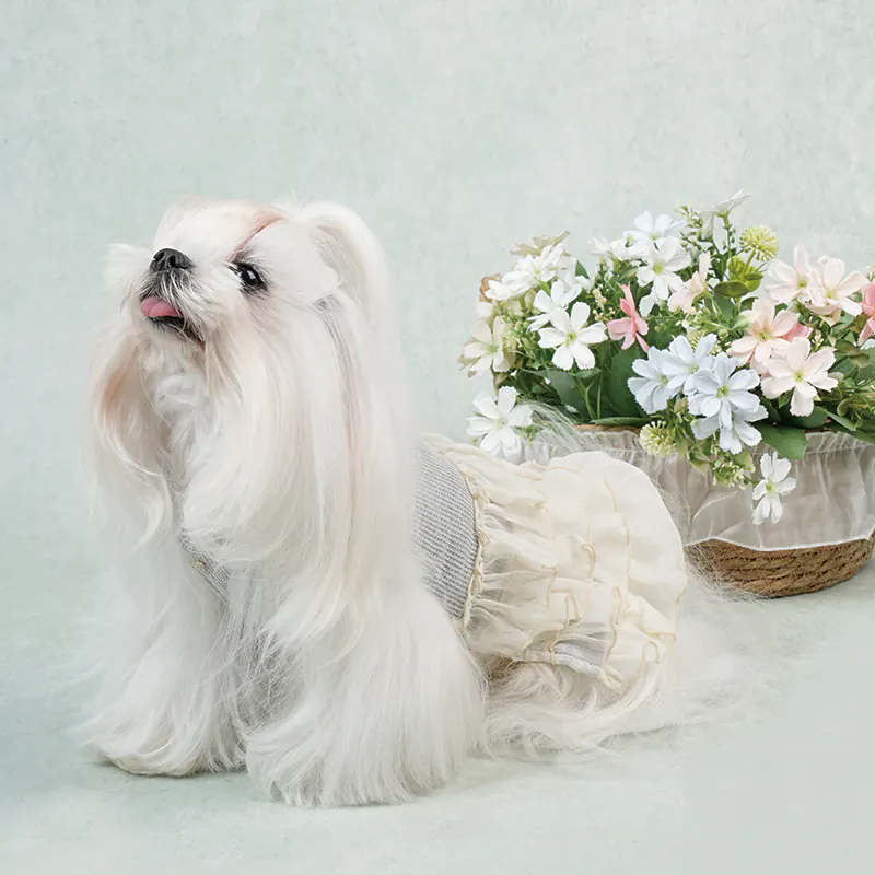 Ruffle Pet Dress · UT261126 product view 4