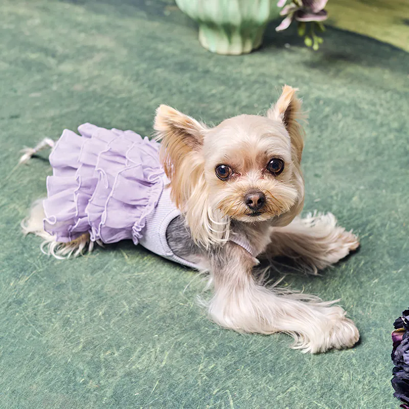 Ruffle Pet Dress · UT261126 product view 5