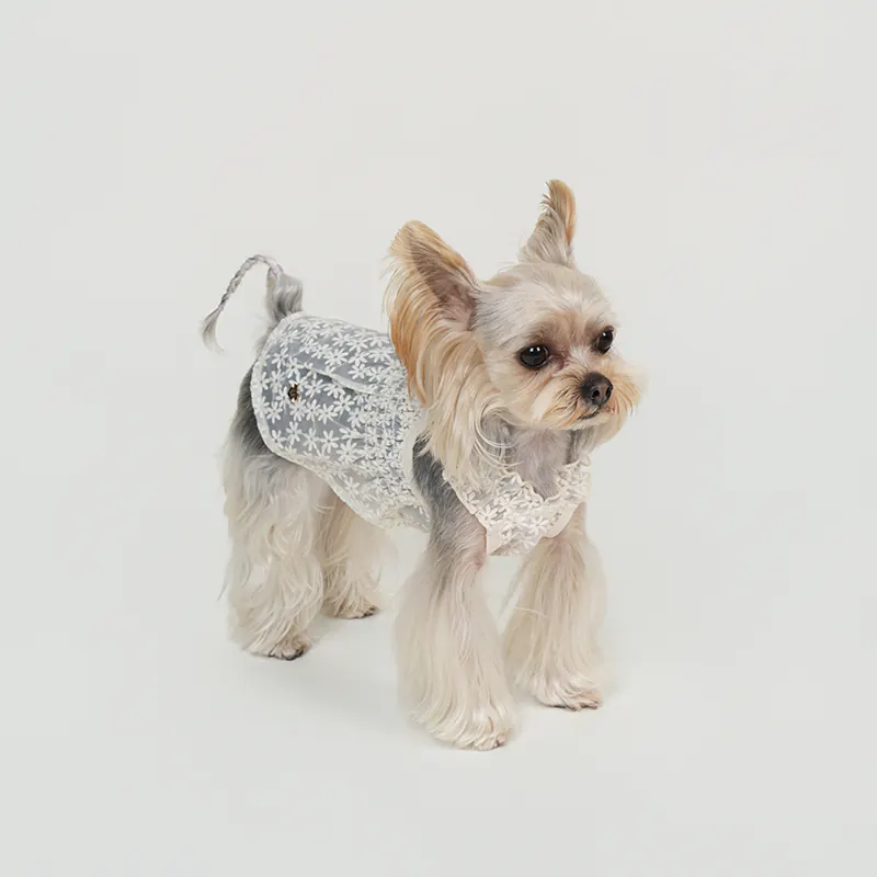 Floral Lace Pet Dress · UT261127 product view