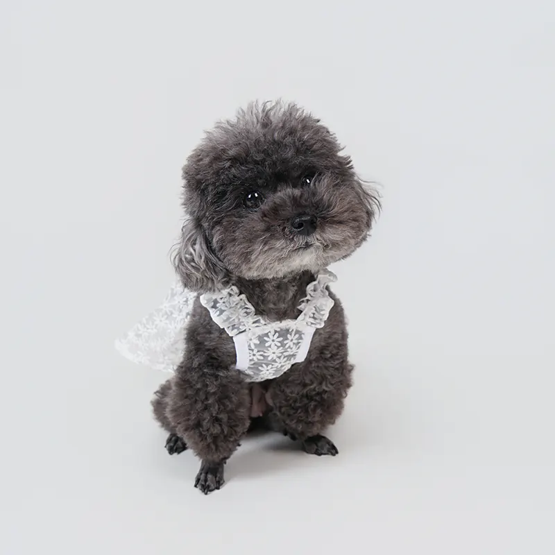 Floral Lace Pet Dress · UT261127 product view 2