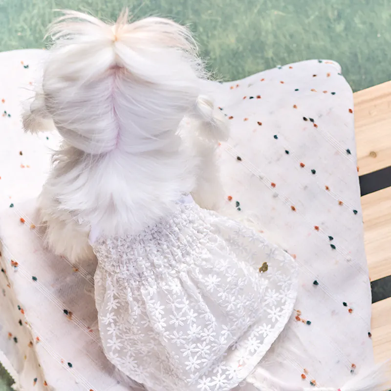 Floral Lace Pet Dress · UT261127 product view 3