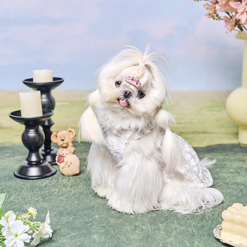 Floral Lace Pet Dress · UT261127 product view 4