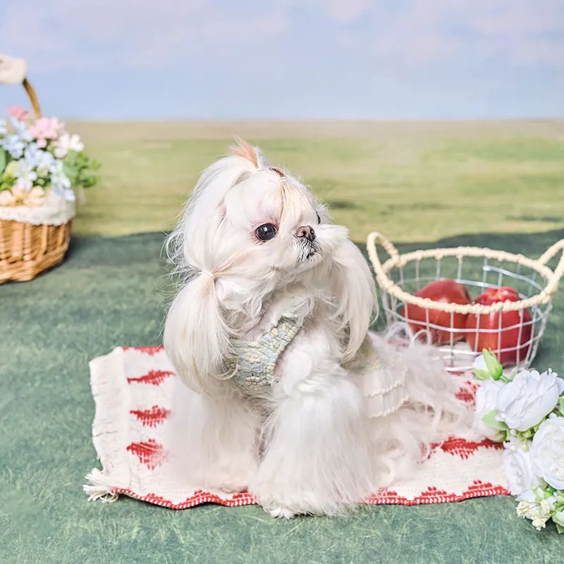 Pet Dress · UT261130 product view 2