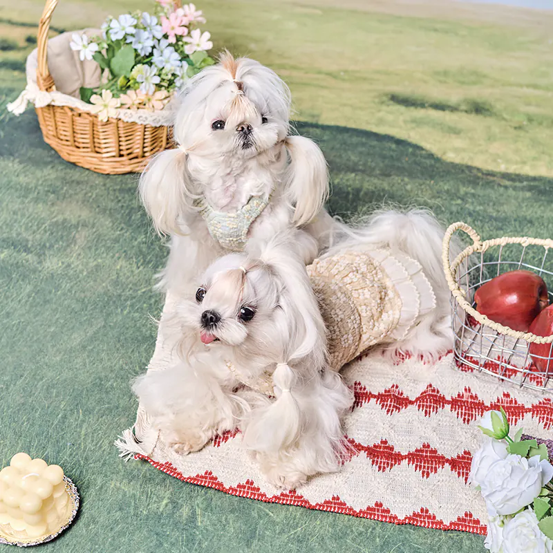 Pet Dress · UT261130 product view 4