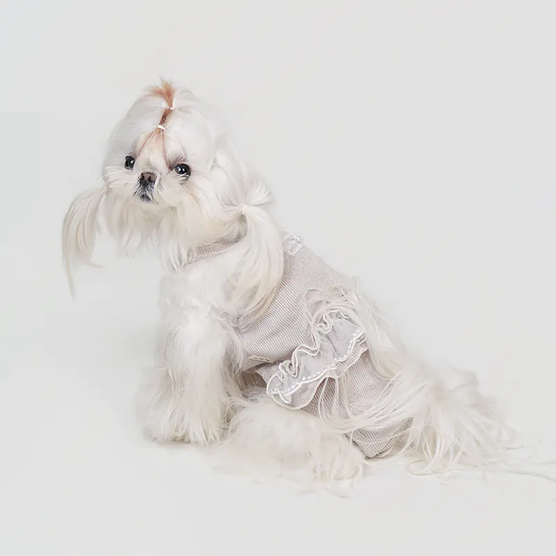 Pet Apparel · UT261131 product view