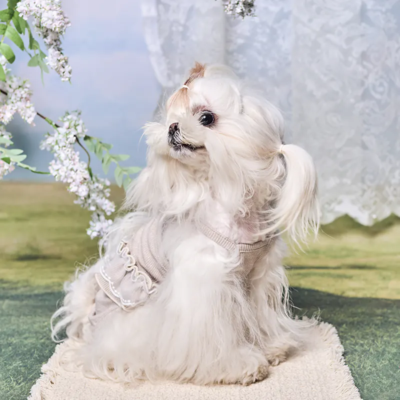 Pet Apparel · UT261131 product view 4