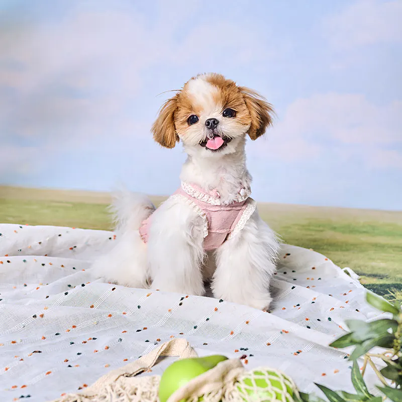 Lace Pet Vest · UT261132 product view 2