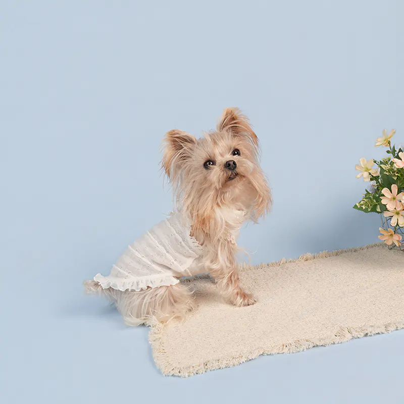 Lace Pet Vest · UT261132 product view 3
