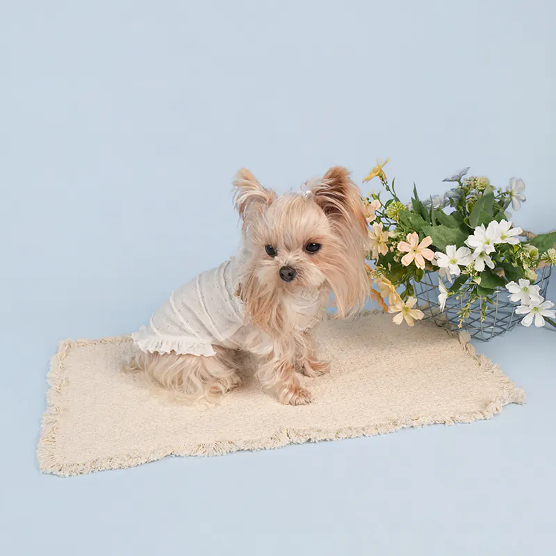 Lace Pet Vest · UT261132 product view 4