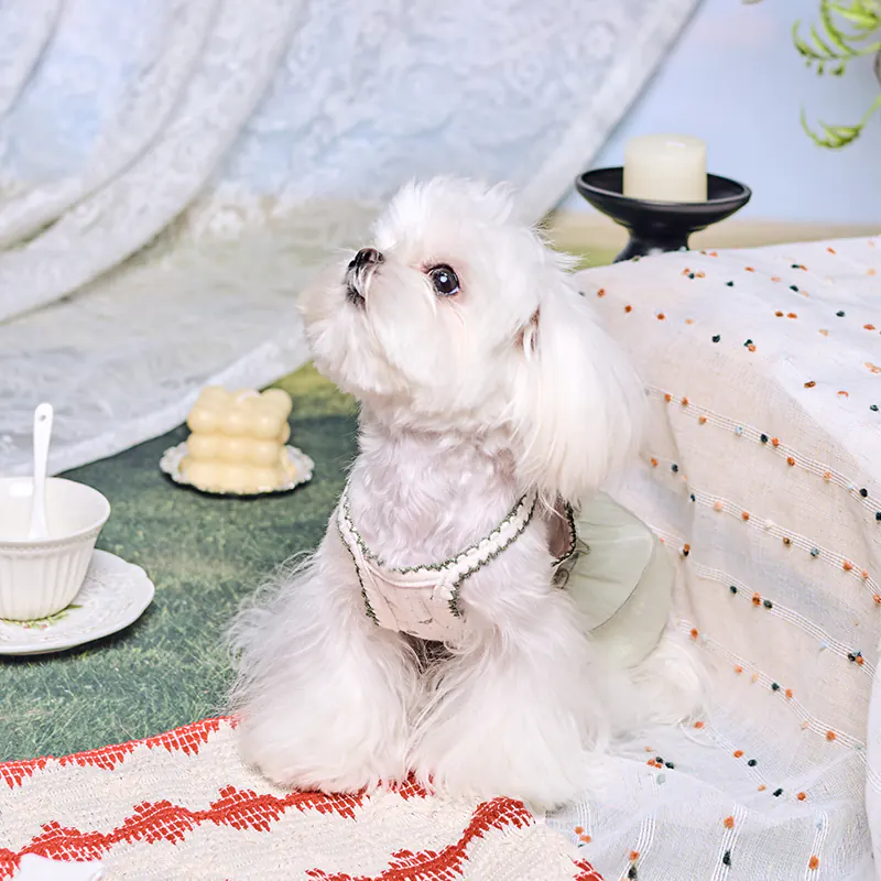Ditsy Floral Pet Dress · UT261133 product view